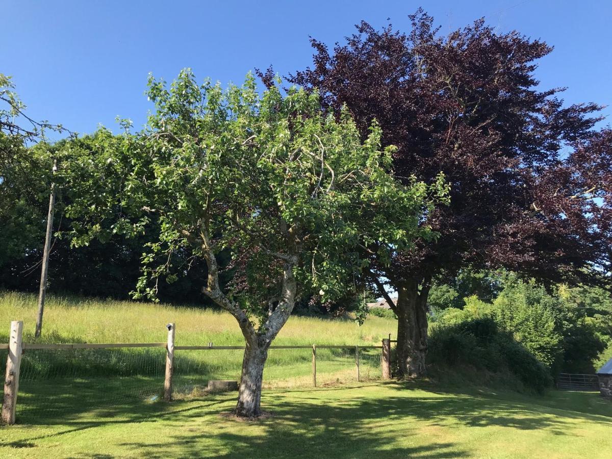 Appartamento The Annex At Middle Filham, Ivybridge Esterno foto