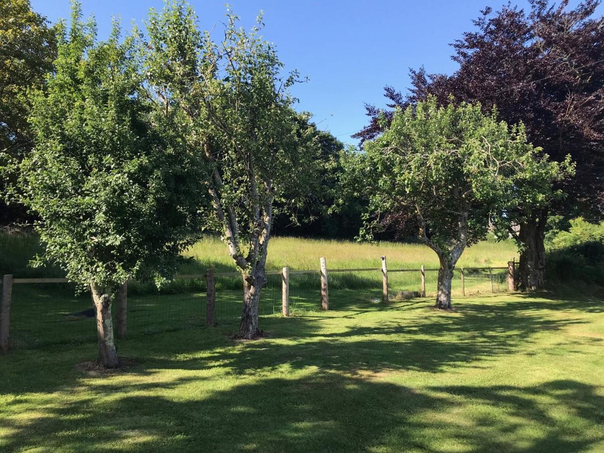 Appartamento The Annex At Middle Filham, Ivybridge Esterno foto
